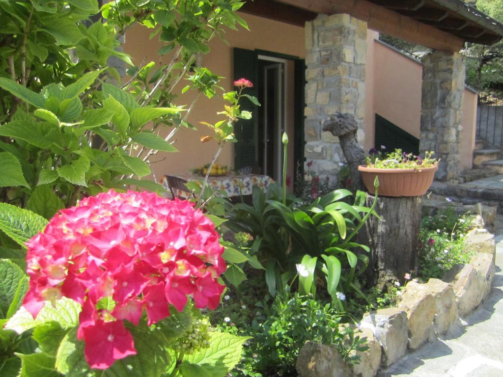 Agriturismo Turlin Vallebona Luaran gambar